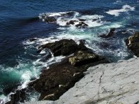 South of Gull Rock, Monhegan