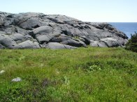 Gull Rock from Path, Monhegan