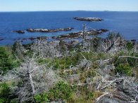 Seal Ledges, Monhegan